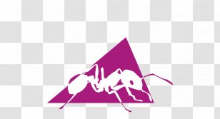 Apache Ant Software Build Foundation Tomcat Automation - Transparency And Translucency Transparent PNG