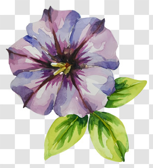Pansy Flower - Beautiful Watercolor Purple Flower Art Transparent PNG