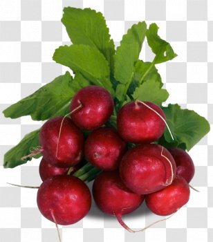 Agricola San Donato Gooseberry Food Strada Acquaviva Azienda - Local - Princedom Of Transparent PNG
