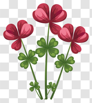 Clover - Red Clover Flower Illustration With Green Stems Transparent PNG