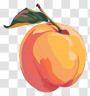 Nectarine - Illustration Of A Yellow Peach Transparent PNG