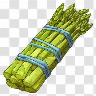 Asparagus - Illustration Of Fresh Asparagus Bundle Transparent PNG