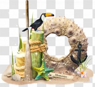Beach Elements,Beach Material - Flower - Cartoon Transparent PNG