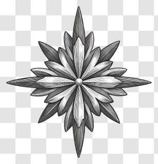 Floral Star - Black And White Star Design Transparent PNG