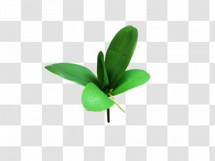 Leaf Shrub Plant Stem Orchids Cut Flowers - Artificial Flower Transparent PNG
