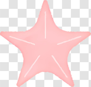 Seashell - Pink Starfish Illustration Transparent PNG