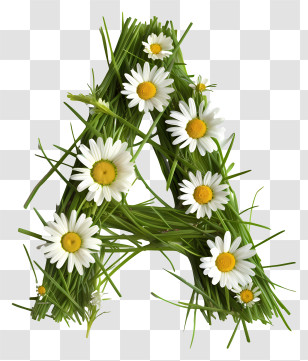 Floral Letter A - Daisy And Grass Letter A Design Transparent PNG