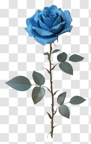 Blue Rose - Blue Rose With Stem Transparent PNG