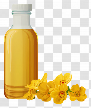 Canola Oil - Bottle Of Essential Oil With Yellow Flowers Transparent PNG