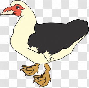 Muscovy Duck Clip Art - Aflac - Aves Transparent PNG