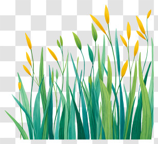 Watercolor Grass Background - Tall Green And Yellow Grass Transparent PNG