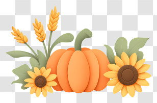 Ripe Orange Pumpkins - Pumpkin With Sunflowers And Wheat Transparent PNG