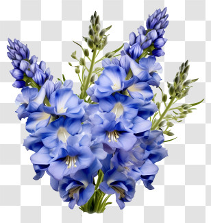 Bunch Of Delphinium Flower - Beautiful Blue Gladiolus Flowers Transparent PNG