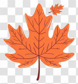 Autumn Maple Leaf - Beautiful Orange Autumn Leaf Illustration Transparent PNG