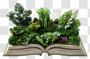 3d Book - Open Book With Lush Green Plants Transparent PNG