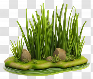 Grass Ground - Green Grass With Rocks In Nature Transparent PNG