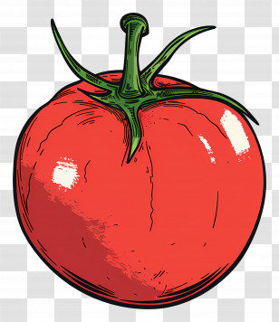 Tomato - Red Tomato Illustration In Vintage Style Transparent PNG