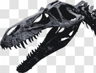 Dinosaur Torvosaurus Blackandwhite Transparent Png - free download dragon roblox dinosaur torvosaurus