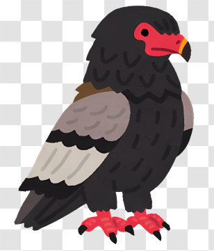 Bird - Illustration Of Black And Red Eagle Transparent PNG