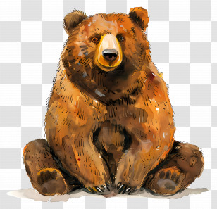 Bear - Sitting Bear Wildlife Illustration Transparent PNG