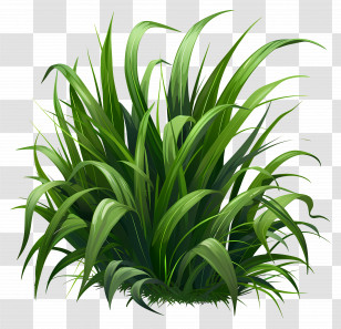 Grass Greenery - Lush Green Grass Illustration Transparent PNG