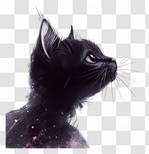 Lovely Cat - Black Cat In Profile Transparent PNG