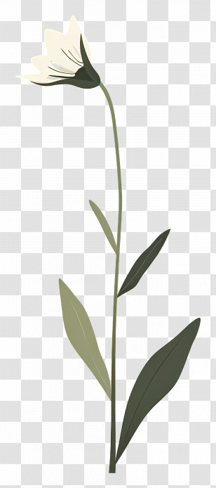 Single Flower - Minimal Flower Illustration With Green Leaves Transparent PNG