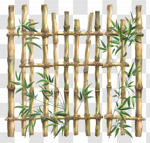 Bamboo Fence - Bamboo Fence With Green Leaves Transparent PNG