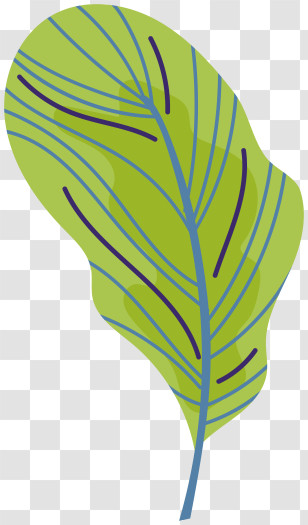Leaf - Green Leaf Illustration Transparent PNG