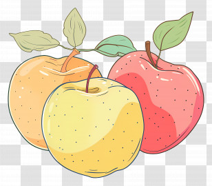 Apples - Illustration Of Yellow And Red Apples Transparent PNG