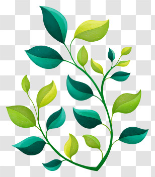 Green Leafy Vine - Green Leaf Branch Illustration Transparent PNG