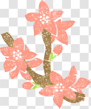 Icon - Pink Cherry Blossoms Branch Illustration Transparent PNG