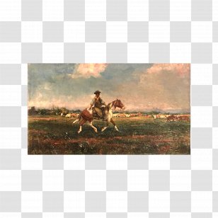 Mustang Stallion Ecoregion Cowboy Ranch Transparent PNG