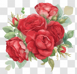 Rose Flowers - Bouquet Of Red Roses Transparent PNG