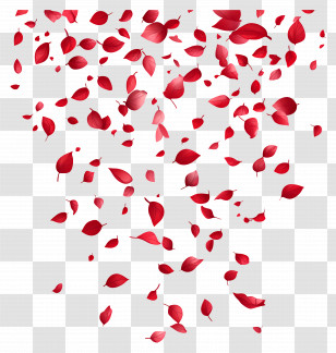 Falling Leaves - Red Petals Falling In A Romantic Cascade Transparent PNG