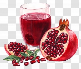 Pomegranate Watercolor - Pomegranate Juice With Seeds Transparent PNG