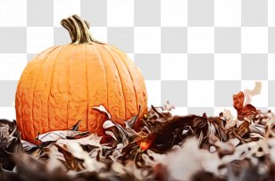 Pumpkin - Paint - Food Vegetarian Transparent PNG