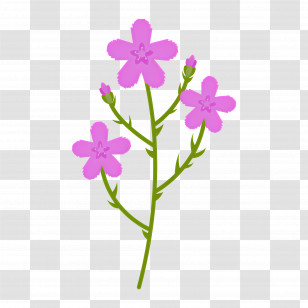 Wildflower - Pink Flowers In Bloom Transparent PNG