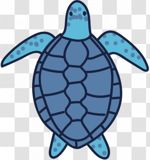 Sea Turtle Artist Art Museum - Hawksbill Transparent PNG
