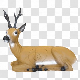 Shooting Targets Roe Deer Reindeer LongLife Liegender Rehbock Archery - Antelope Transparent PNG