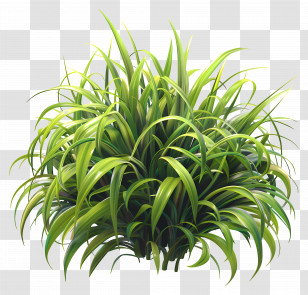 Grass Greenery - Lush Green Grass Plant In Botanical Illustration Transparent PNG