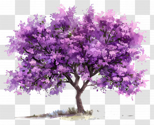 Flower Tree - Beautiful Purple Blossom Tree Transparent PNG