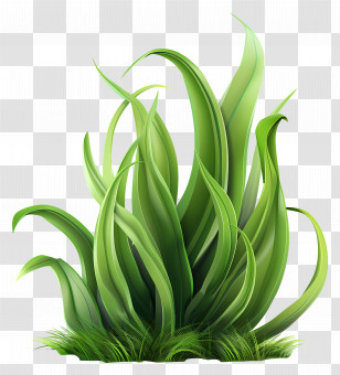 Grass Plant - Lush Green Plant Illustration Transparent PNG