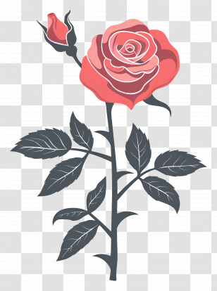 Roses Garden - Elegant Red Rose With Green Leaves Illustration Transparent PNG