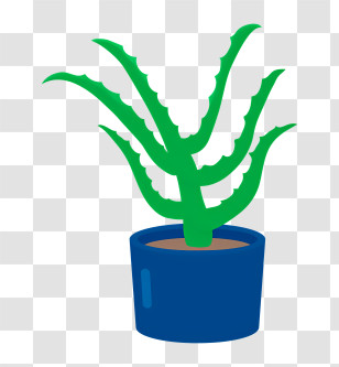 Green Aloe Vera - Green Aloe Vera In Blue Pot Transparent PNG