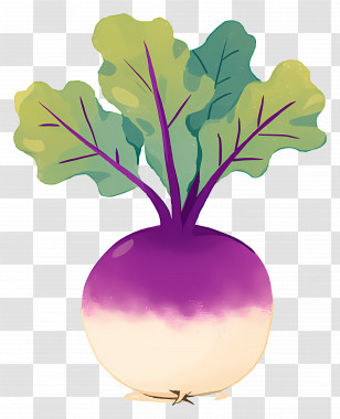 Turnip - Purple Turnip With Green Leaves Transparent PNG