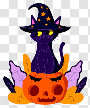 Halloween Cat In Pumpkin - Black Cat On Pumpkin With Witch Hat Transparent PNG