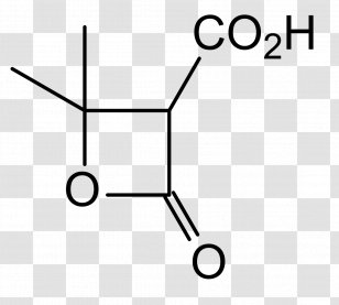 False - Molecule - Rna Transparent PNG
