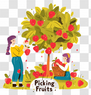 Woman Picking Apples - Fruit Picking From A Tree Illustration Transparent PNG