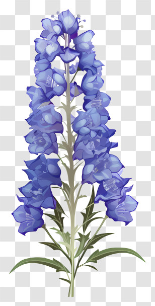 Cartoon Delphinium Flower - Blue Delphinium Flower Illustration Transparent PNG